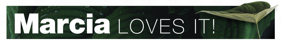 Your Kitchen CheckList To Staying Organised - Home And Trends