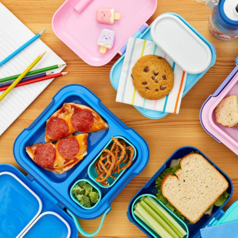 Zoku Neat Bento Lunch Box