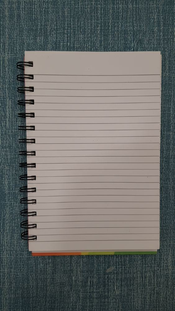 Notebook A4 hard cover spiral - Cat Lovers SET OF TWO - deal !!