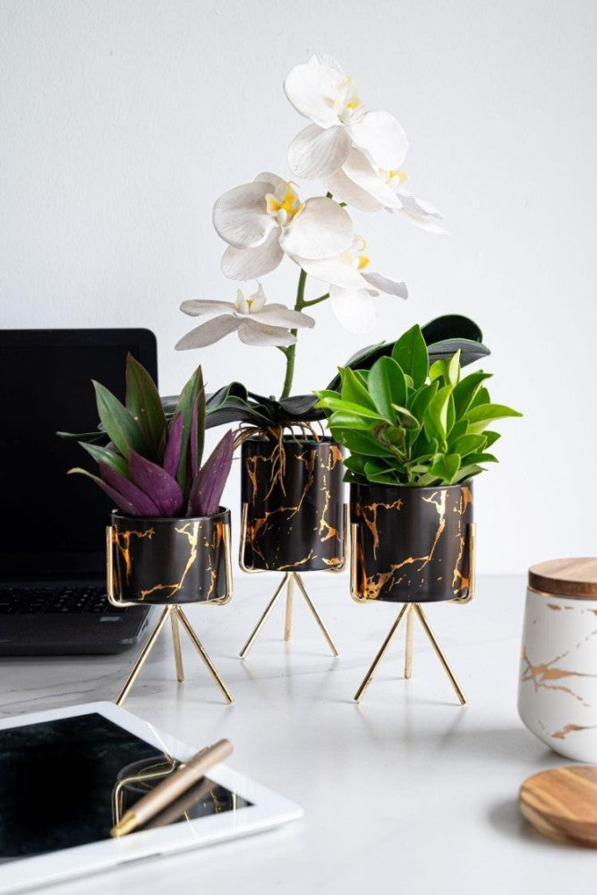 Marble Design Mini Decorative Pots on stand