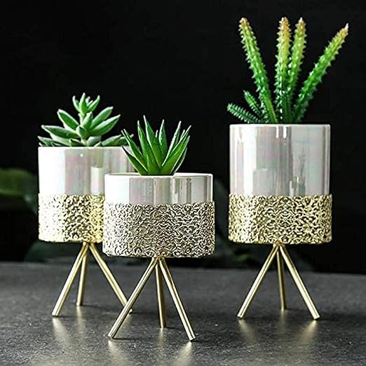 Pearl Design Mini Decorative Pot With Gold Detailing