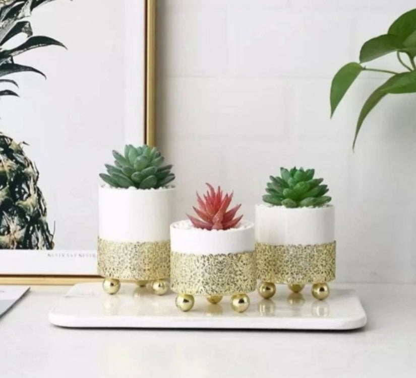 Ornamental Decor Pots