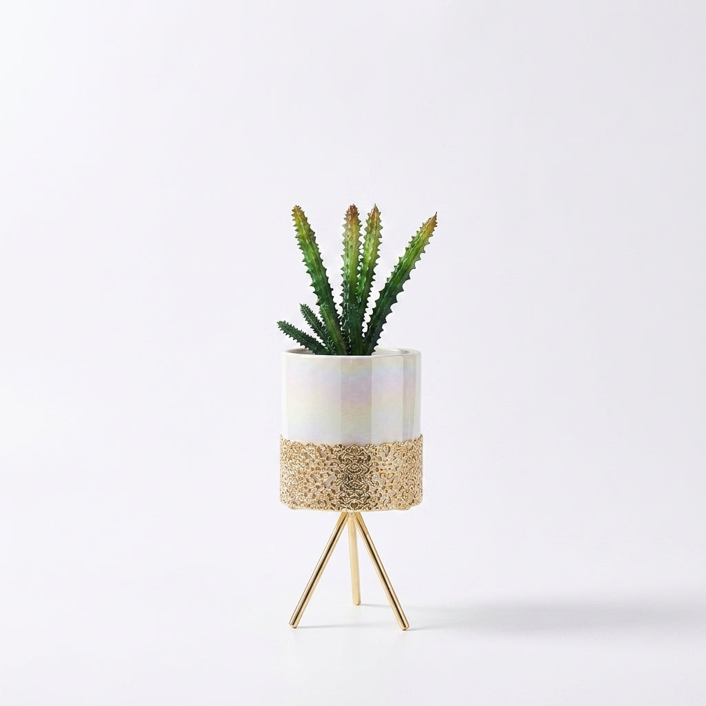 Large desktop plant holder With Gold Detailing Pearl Design