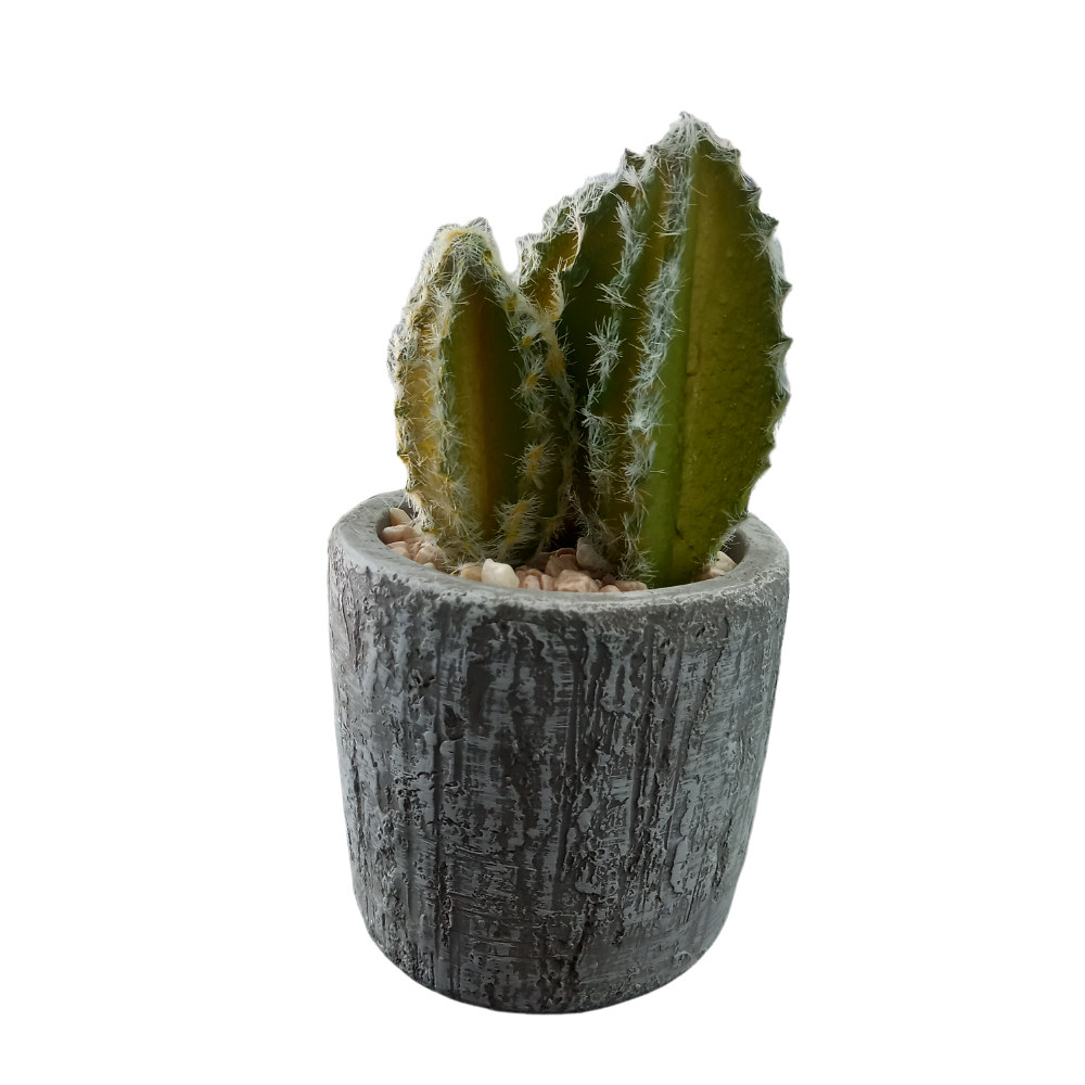 Potted Cactus - Forest Green