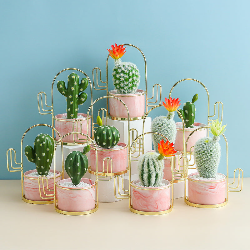 Pink Mini Decorative Pot with Cactus Design Stand