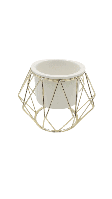 Abstract Round Glass Decor Pot with Golden Cage - pointed - Home And Trends
