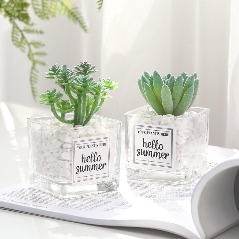 Artificial Plant in "Hello Summer" Glass Pot - Home And Trends