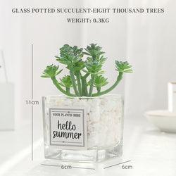 Artificial Plant in "Hello Summer" Glass Pot - Home And Trends