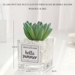 Artificial Plant in "Hello Summer" Glass Pot - Home And Trends