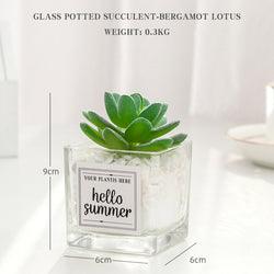 Artificial Plant in "Hello Summer" Glass Pot - Home And Trends