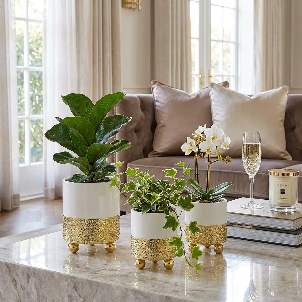 Ornamental Decor Pots