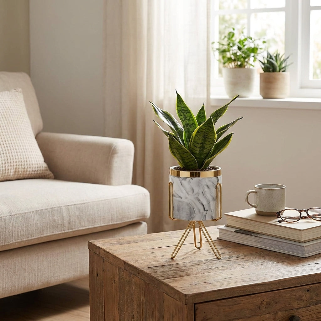 Marble Design Mini Decorative Pots on stands