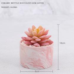 Artificial Pink Succulent in Pink Pot - Home And Trends
