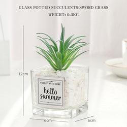 Artificial Plant in "Hello Summer" Glass Pot - Home And Trends