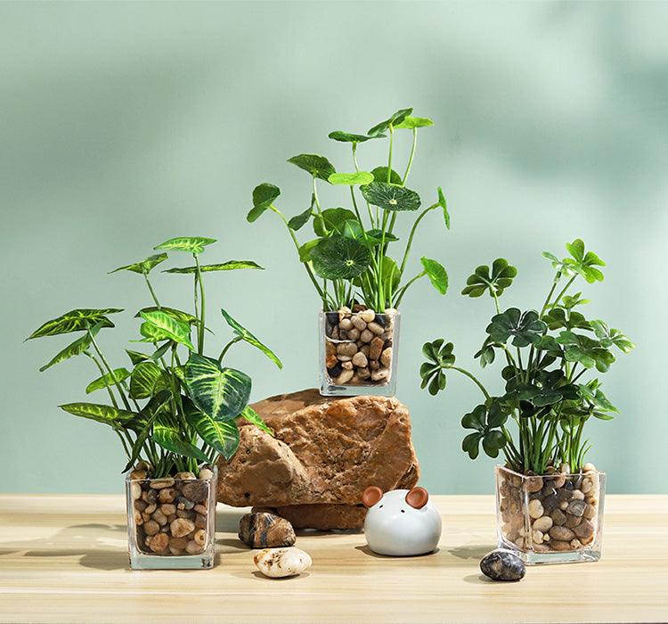 Artificial Plant in Square Glass Pot - Home And Trends