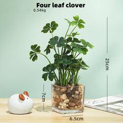 Artificial Plant in Square Glass Pot - Home And Trends
