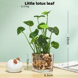 Artificial Plant in Square Glass Pot - Home And Trends