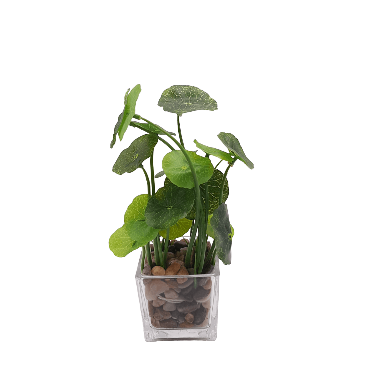 Artificial Plant in Square Glass Pot - Home And Trends