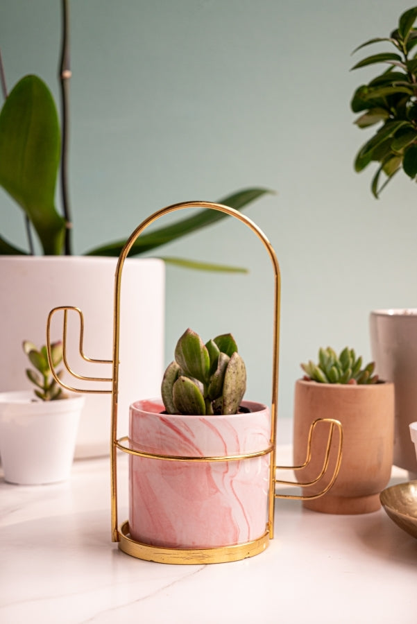 Pink Mini Decorative Pot with Cactus Design Stand
